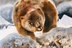 orso1