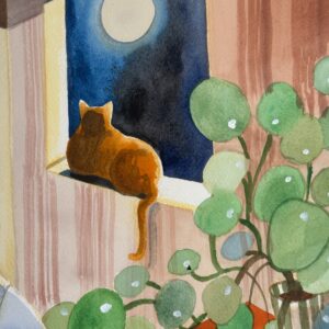 Notte di Luna - immagine 4